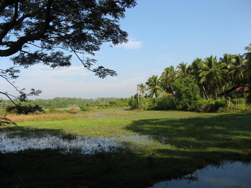 Villa Sunrise Tangalle Luaran gambar